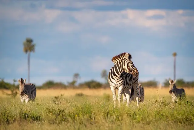 Top 5 des destinations à découvrir pour un voyage en famille