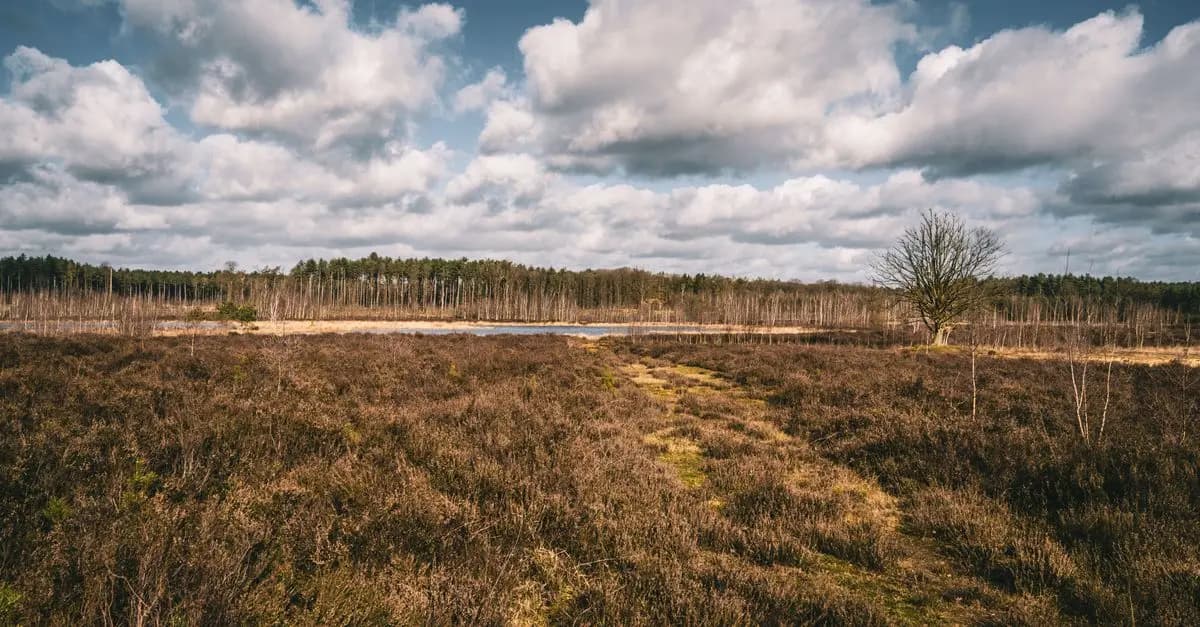 Les meilleures destinations en Belgique pour un tourisme écoresponsable