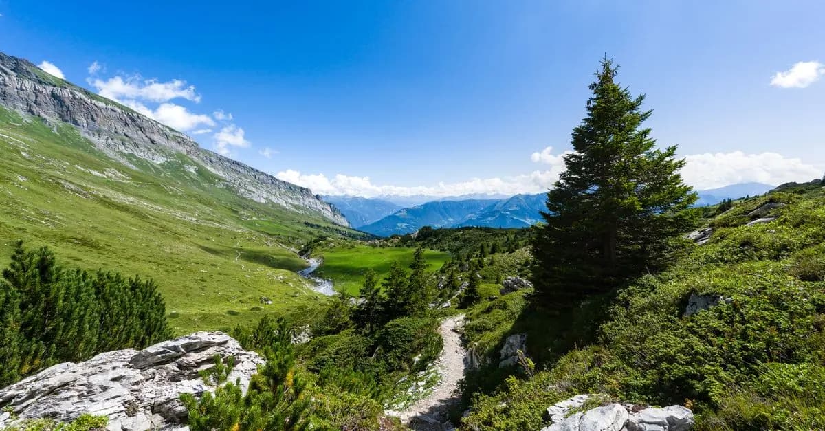 Les incontournables du tourisme durable à découvrir