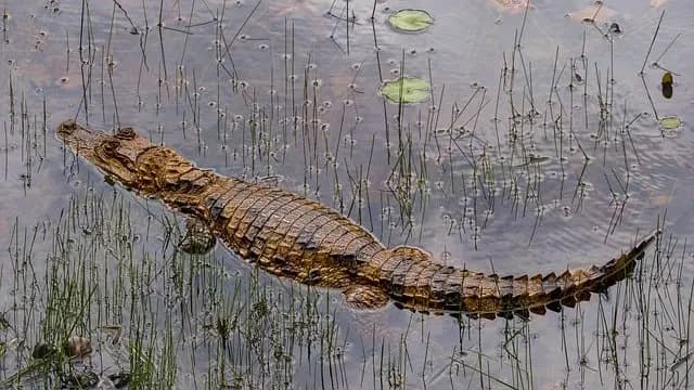 Les destinations de rêve pour un voyage écoresponsable