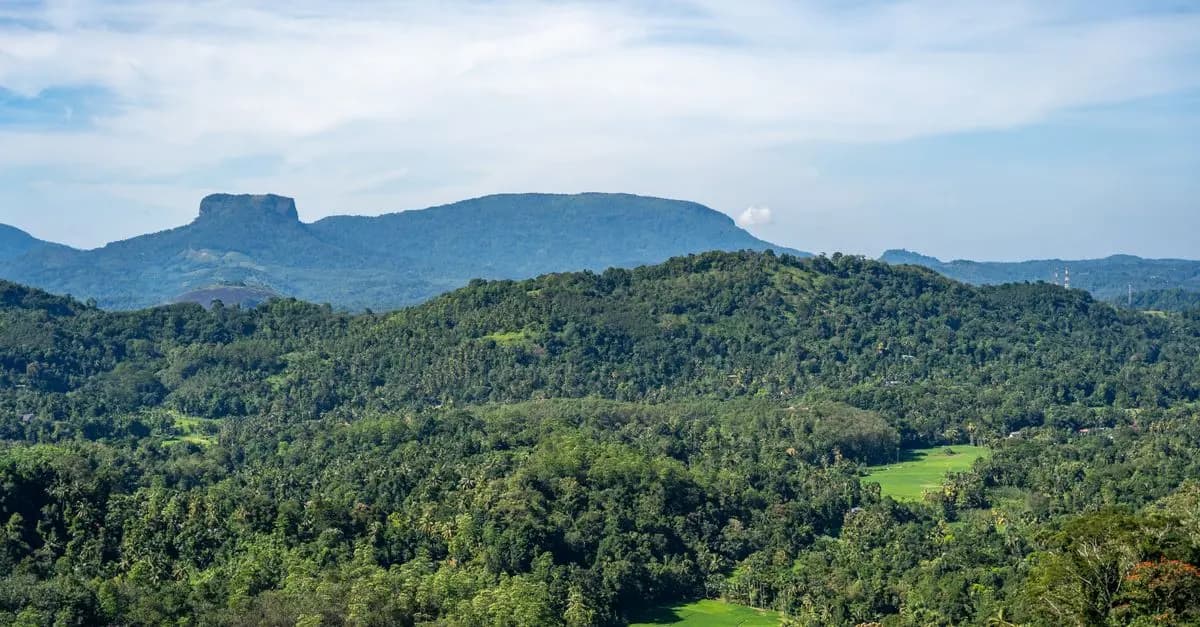 Les tendances du tourisme responsable à suivre